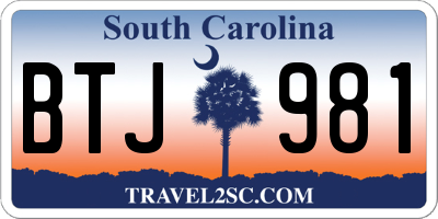 SC license plate BTJ981