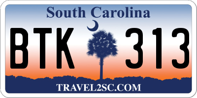 SC license plate BTK313