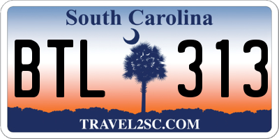 SC license plate BTL313
