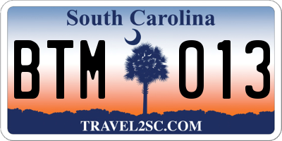 SC license plate BTM013
