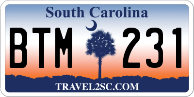 SC license plate BTM231