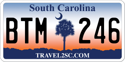 SC license plate BTM246