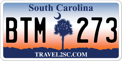 SC license plate BTM273