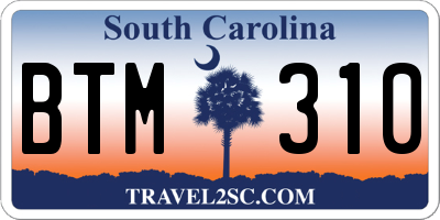 SC license plate BTM310