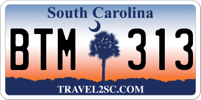 SC license plate BTM313