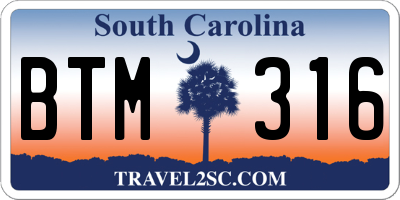 SC license plate BTM316