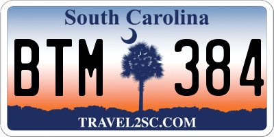 SC license plate BTM384