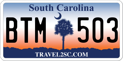 SC license plate BTM503