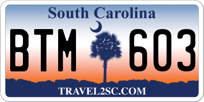 SC license plate BTM603