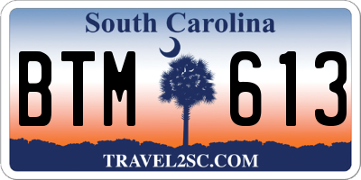 SC license plate BTM613