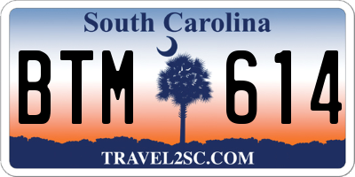 SC license plate BTM614