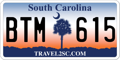 SC license plate BTM615