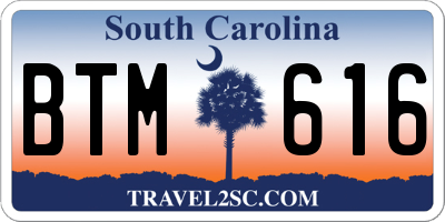 SC license plate BTM616