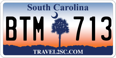 SC license plate BTM713