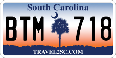 SC license plate BTM718