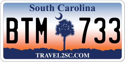 SC license plate BTM733