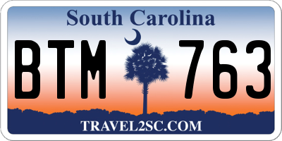 SC license plate BTM763