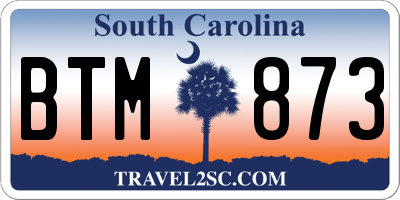 SC license plate BTM873
