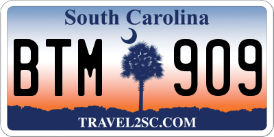 SC license plate BTM909