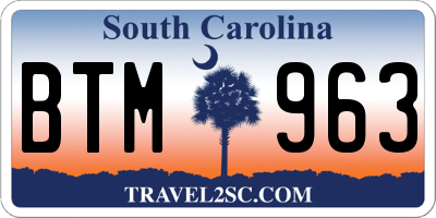 SC license plate BTM963