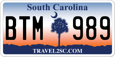 SC license plate BTM989