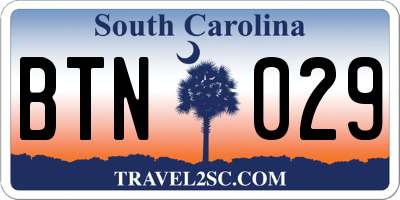 SC license plate BTN029