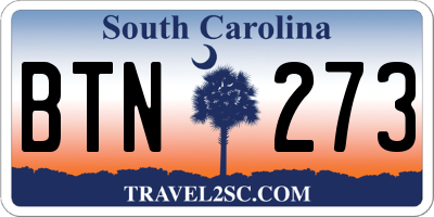 SC license plate BTN273