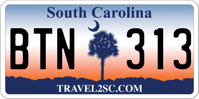 SC license plate BTN313