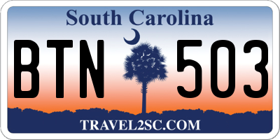 SC license plate BTN503