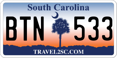SC license plate BTN533