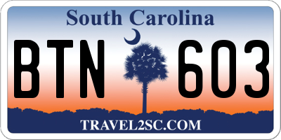 SC license plate BTN603