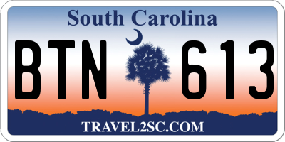 SC license plate BTN613