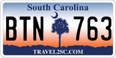 SC license plate BTN763