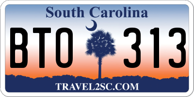 SC license plate BTO313
