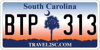 SC license plate BTP313