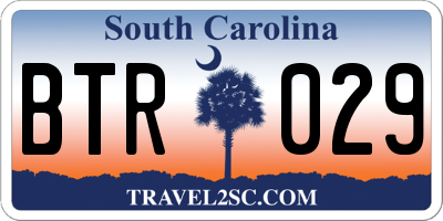 SC license plate BTR029