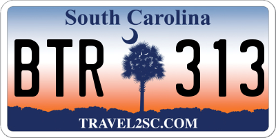 SC license plate BTR313