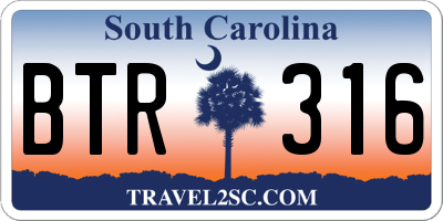 SC license plate BTR316