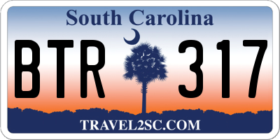 SC license plate BTR317
