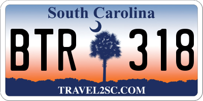 SC license plate BTR318