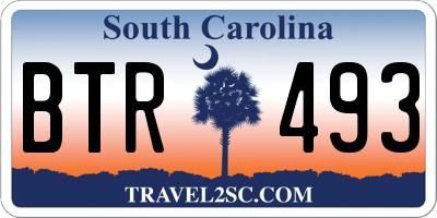 SC license plate BTR493