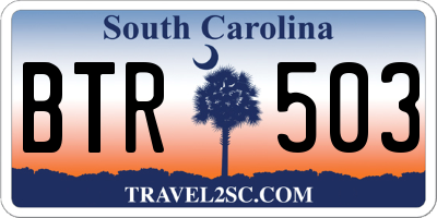 SC license plate BTR503