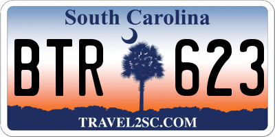 SC license plate BTR623