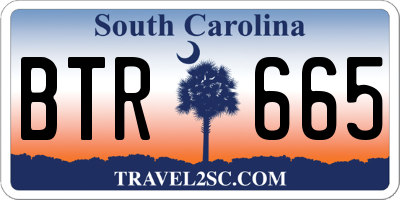SC license plate BTR665