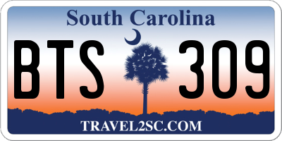 SC license plate BTS309