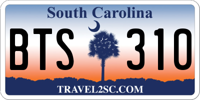 SC license plate BTS310