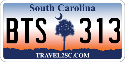 SC license plate BTS313