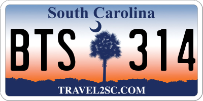 SC license plate BTS314