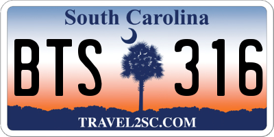 SC license plate BTS316