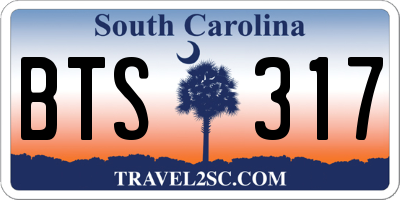 SC license plate BTS317